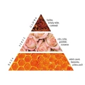 anise-rose_piramida-Copy.webp
