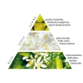 pear-white-musk_piramida-Copy.webp