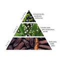 tonka-blackcurrant_piramida-Copy.webp