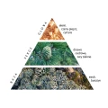 elemi-moss_piramida-Copy.webp