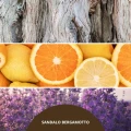 sandalo-bergamotto-paleczki-zapachowe-250-ml-millefiori-milano..jpg