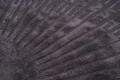 43cd7e85a416c93a13e8c45105ad2228