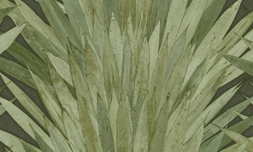 0cc8f6e119bbbba813923f4428e585b5