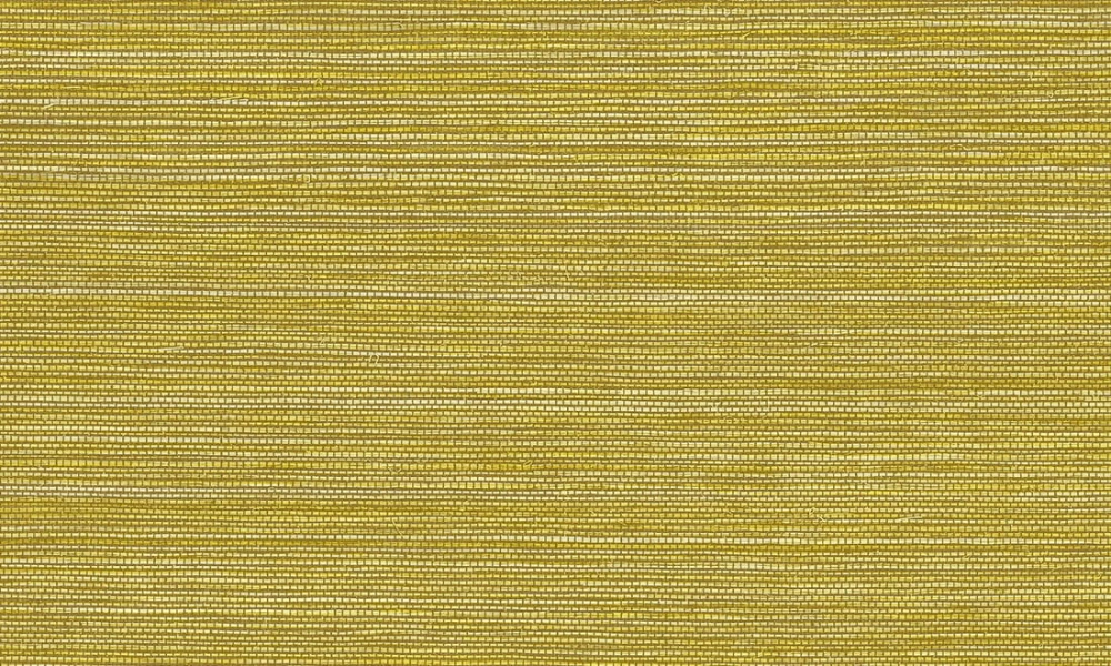 45fd717d643949ebbded1c0e1f691df1