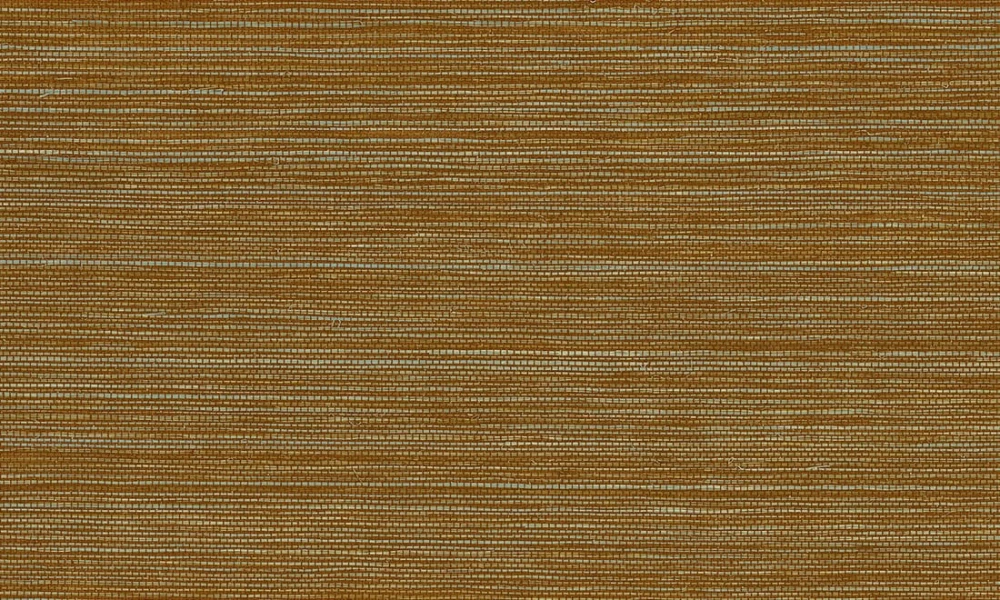 02ae5533f86b1174725a05458cec635a