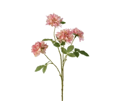 880411.webp